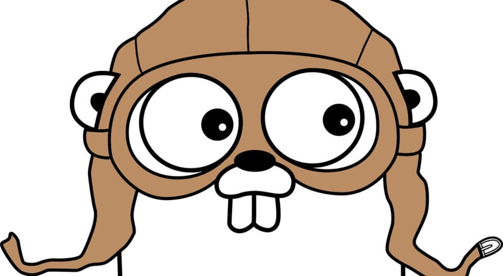 Go interfaces and type assertions